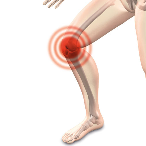 knee rehab